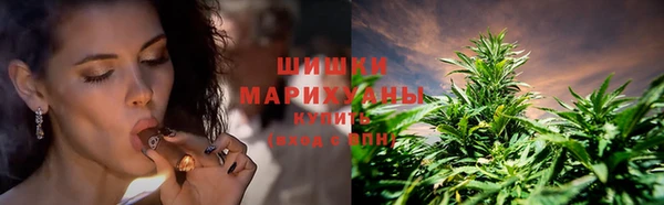 spice Лабытнанги