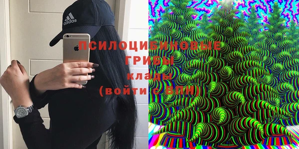 spice Лабытнанги