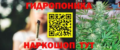 ALPHA PVP Заволжье