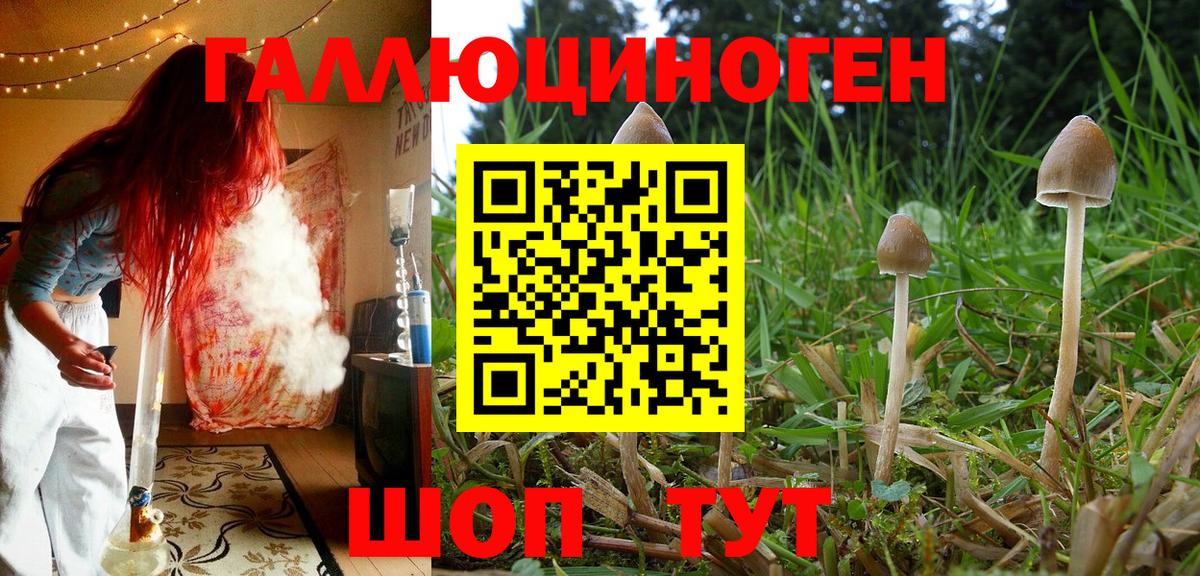 МЕФ   ГАШИШ  Каннабис  Майкоп  А ПВП СОЛЬ кристаллы  Вход с VPN  Cocaine  НБОМе 