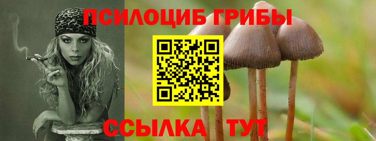 Галлюциногенные грибы Magic Shrooms Майкоп