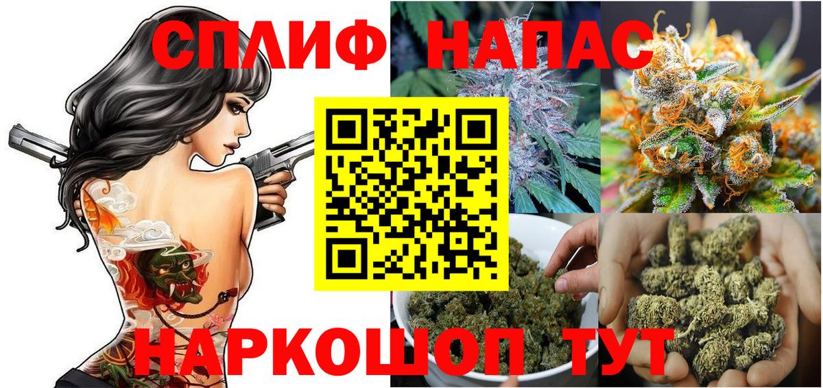 Шишки марихуана план Майкоп